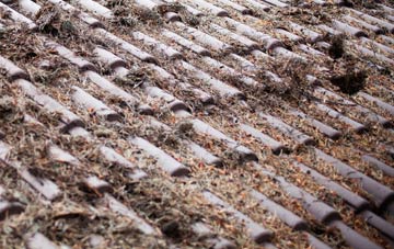 Maindy roof cleaning companies