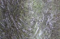 Maindy fibreglass roof work